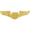 2 Private Pilot Wings Pins, 1 Gray 2 7/8" Wide and 1 Gold Plated, 1 1/2" Wide